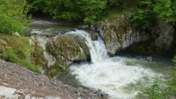 The thundering waters of the waterfall.