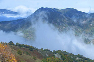 The mountain covered in mist.