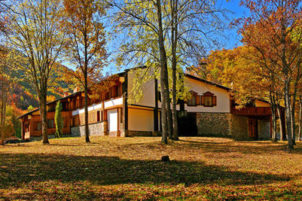 The hunting reserve of Kormisosh in the autumn.